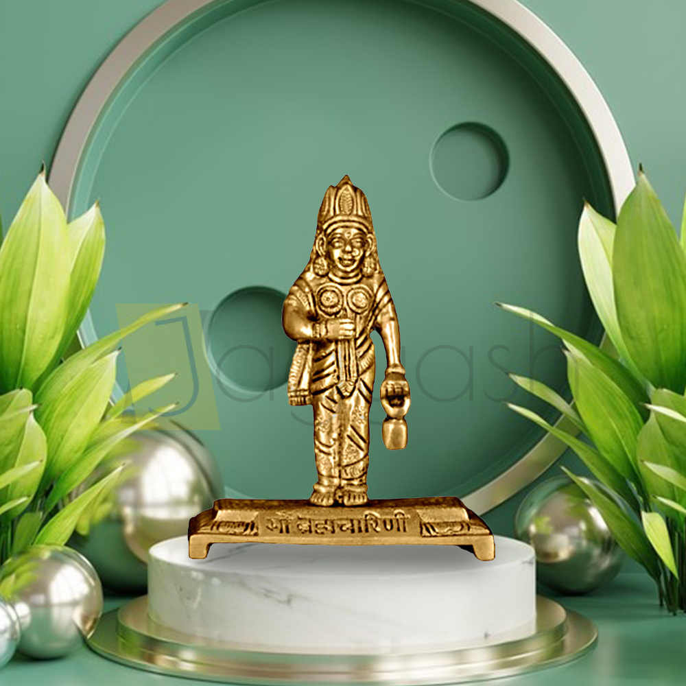 Brass 9 Avtars of Nav Durga Set (6.6 Inch)