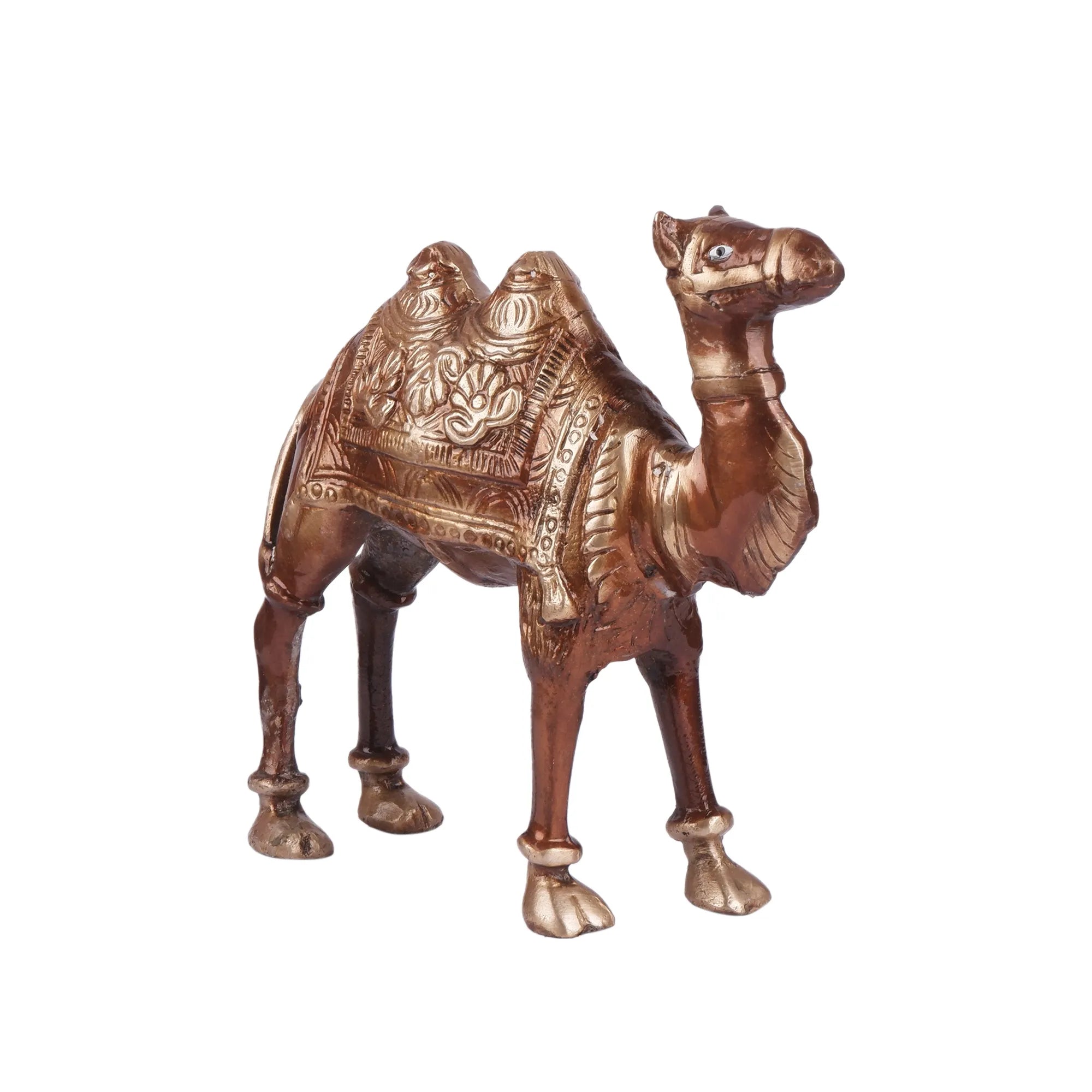 Camel Set Brass (7.0 Inch)