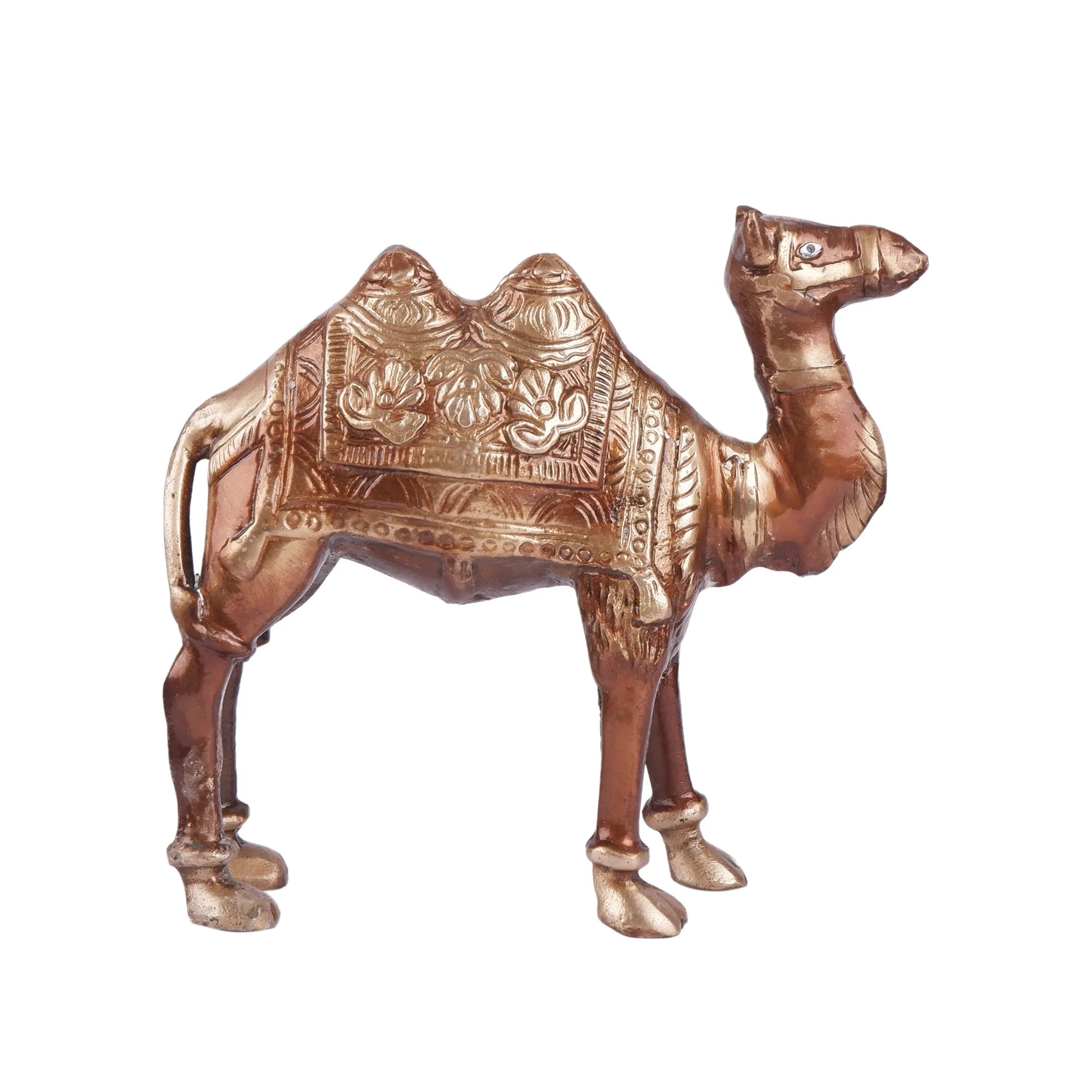 Camel Set Brass (7.0 Inch)