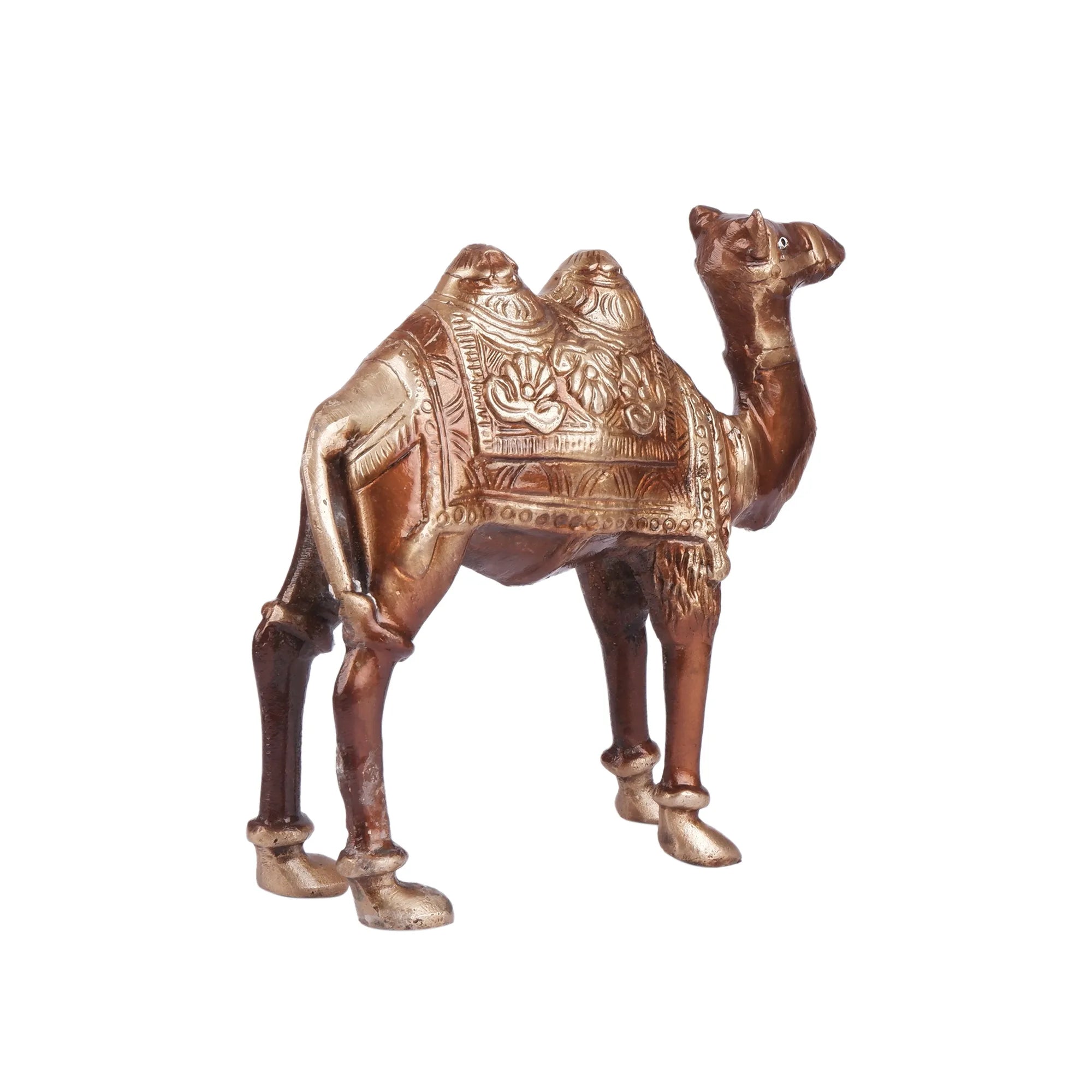 Camel Set Brass (7.0 Inch)